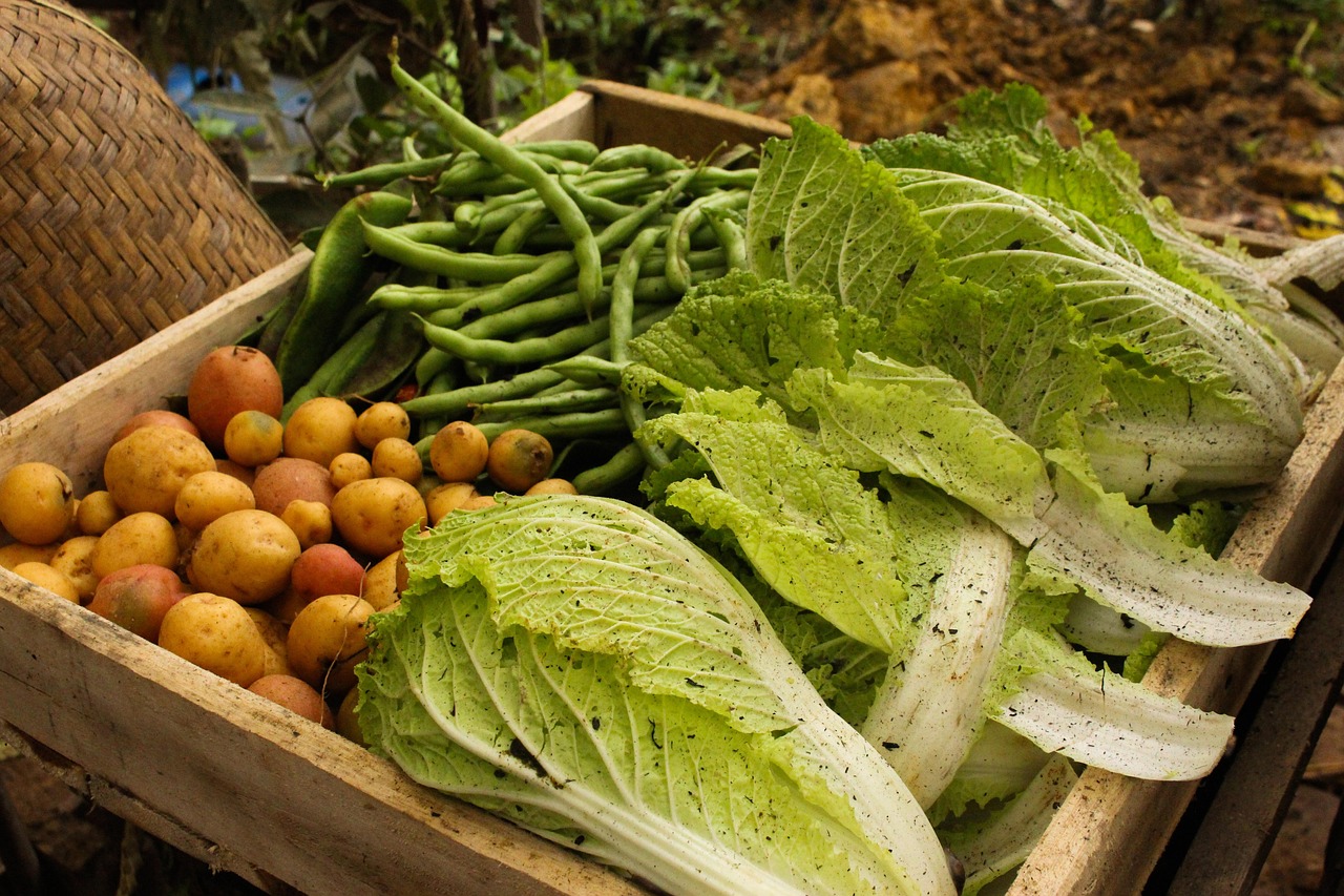 Vegetable Basket